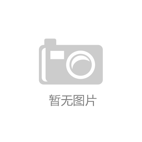 公司使命